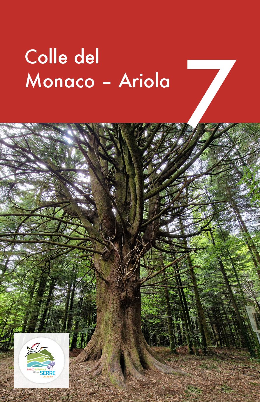 Colle del Monaco – Ariola