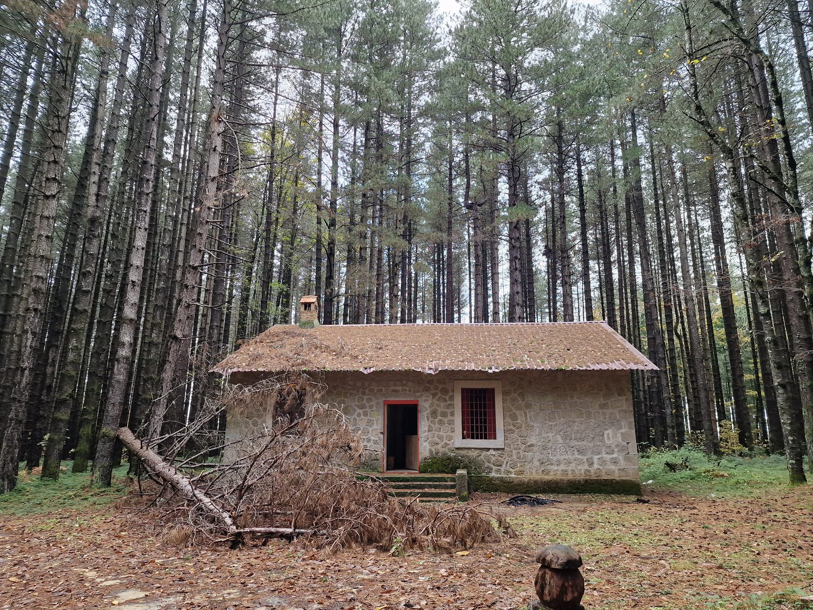 Pecoraro – Archiforo – San Brunello