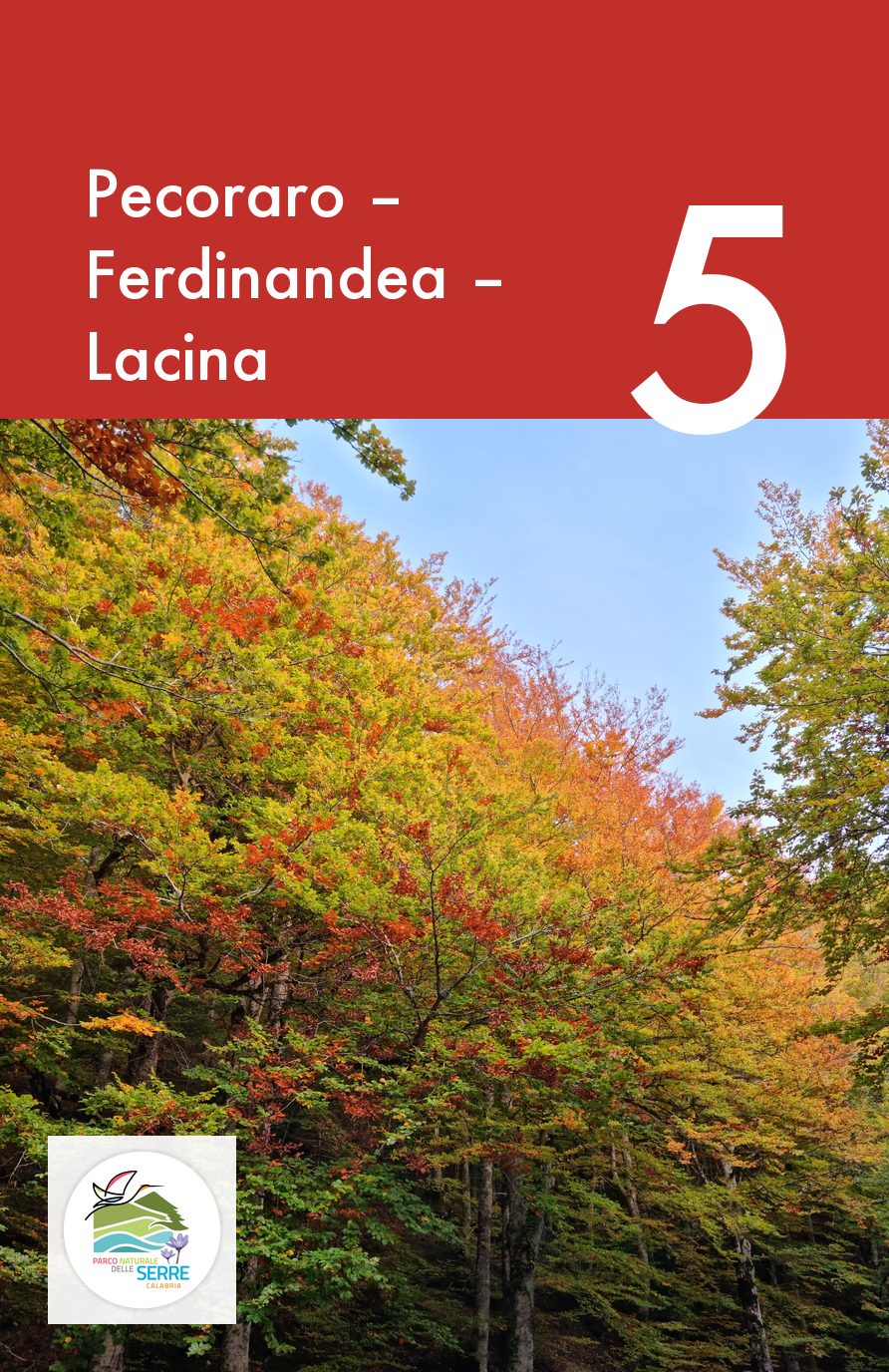 Pecoraro – Ferdinandea – Lacina